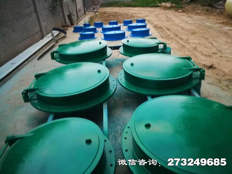 渝北市政管道口玻璃钢拍门